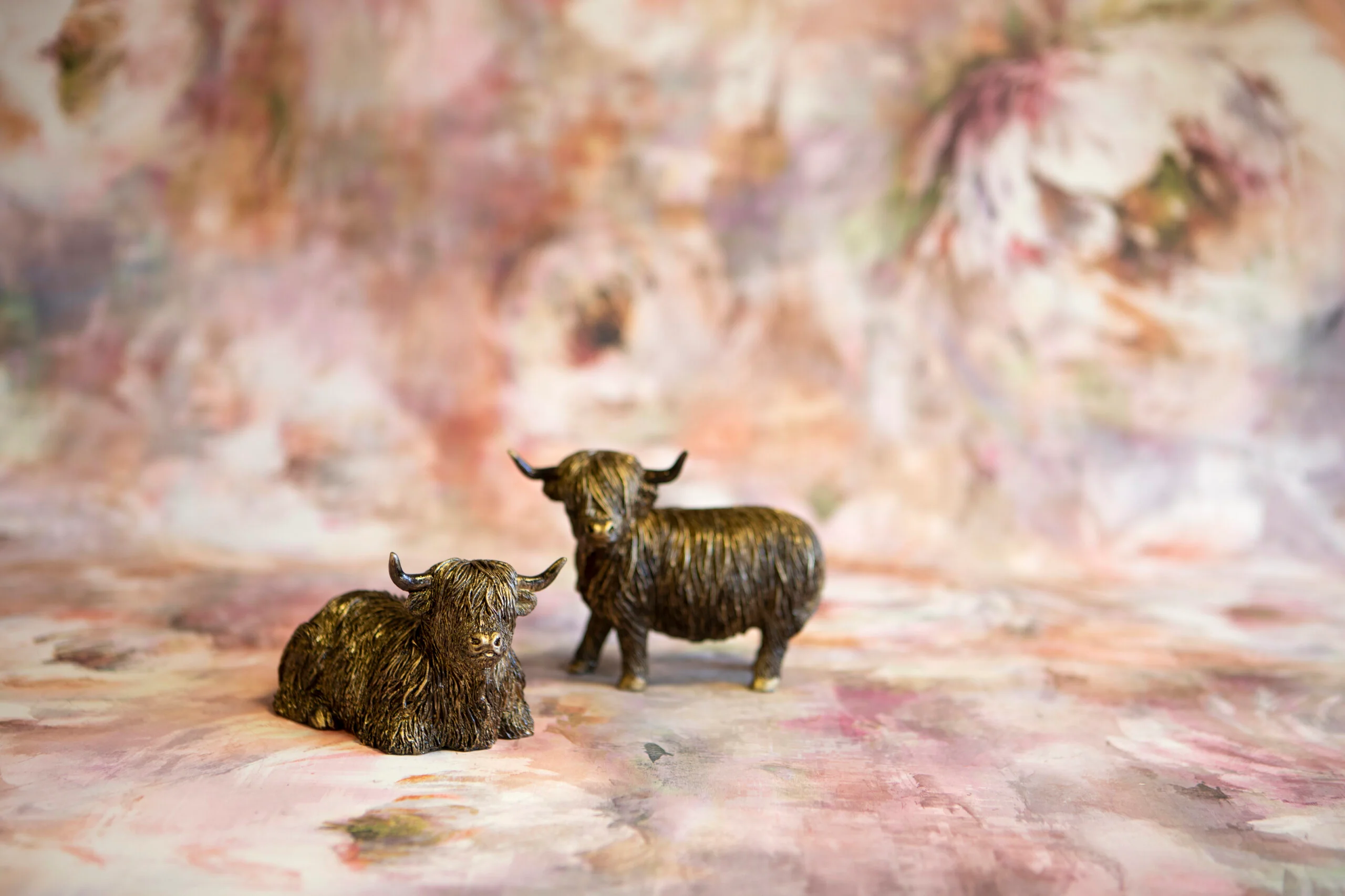 Highland Cow Sitting - Image 2