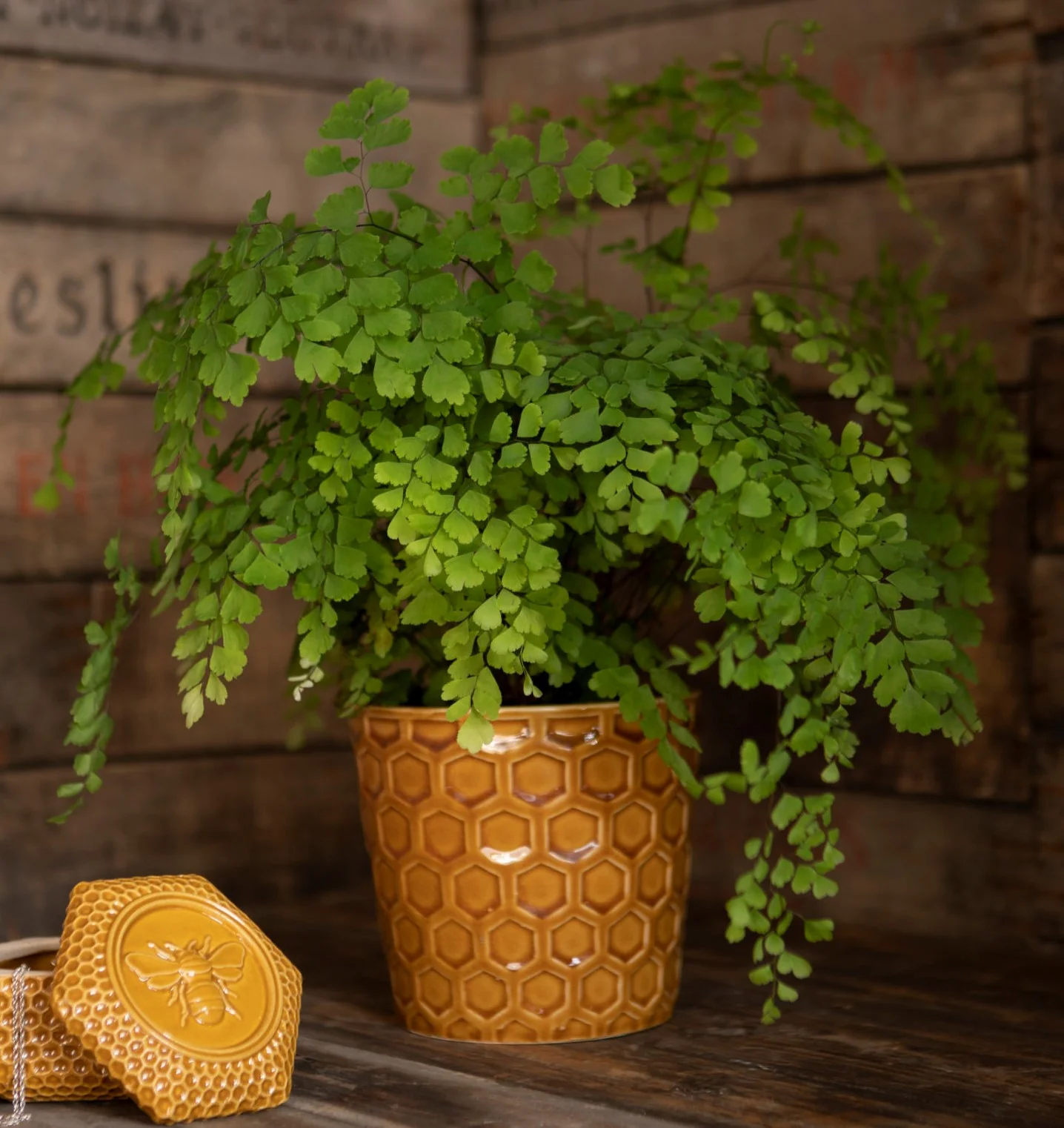 Honeycomb Pot S - Image 2