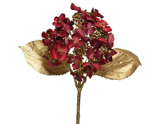 Hydrangea   hydrangea   on   stem   oxblood