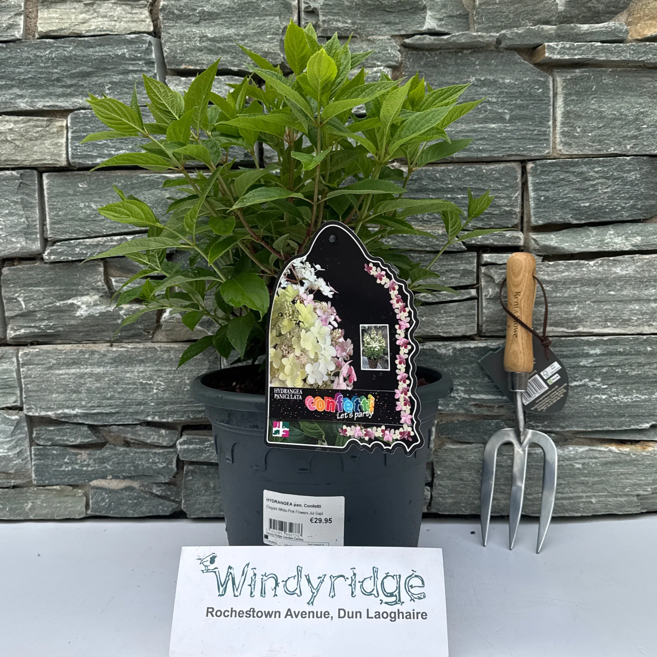 HYDRANGEA pan. Confetti