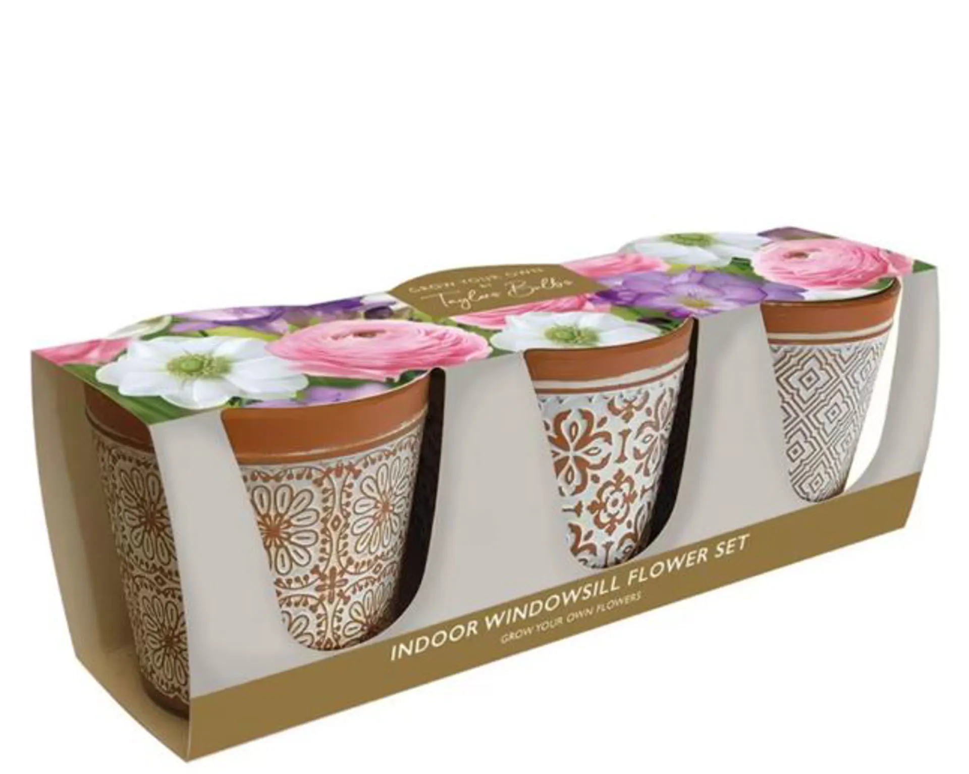 INDOOR FLOWER BULB TRIO