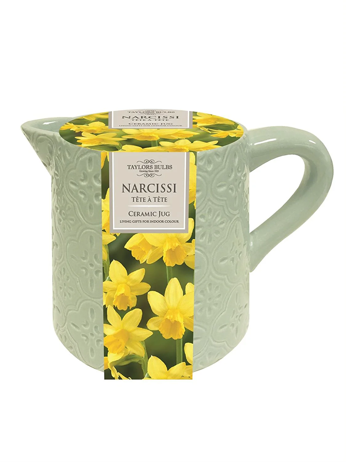 INDOOR NARCISSI JUG