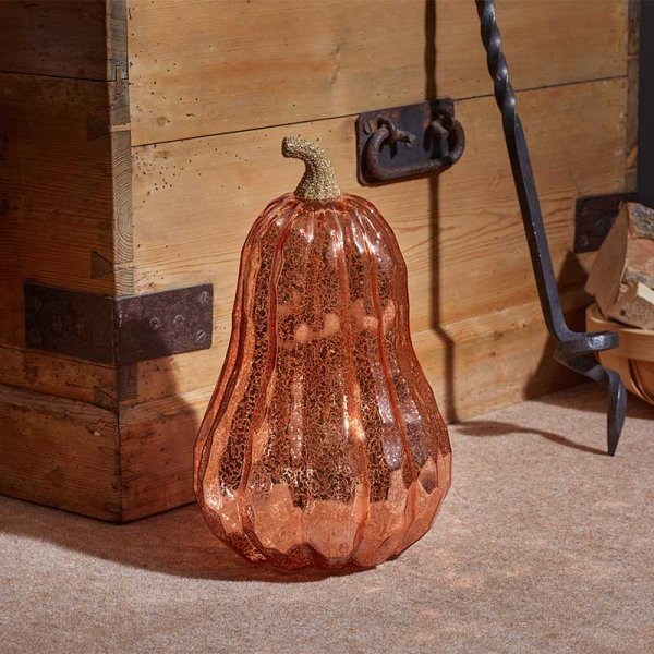 InLit Golden Squash - Image 2