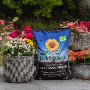 Jacks Magic All Purpose Compost - Image 2
