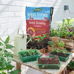 John Innes PF Seed Sowing 28L - Image 2