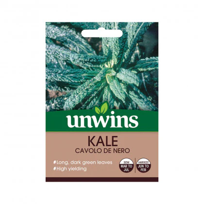 Kale Cavolo de Nero