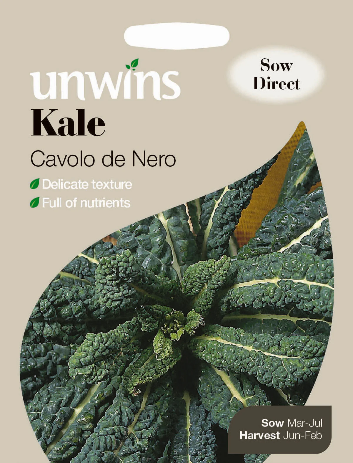 Kale Cavolo de Nero