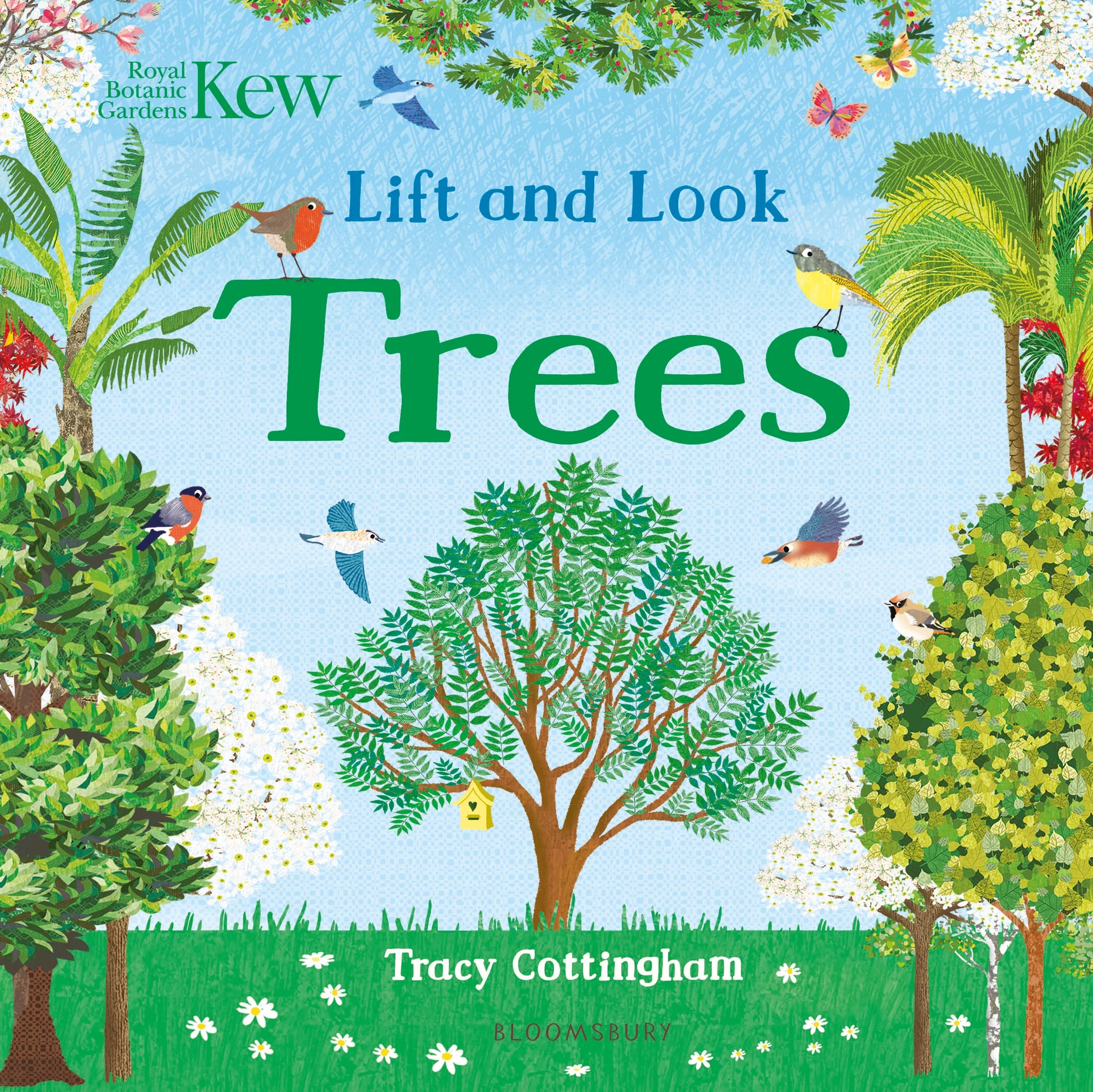 Kew Lift and Look Trees
