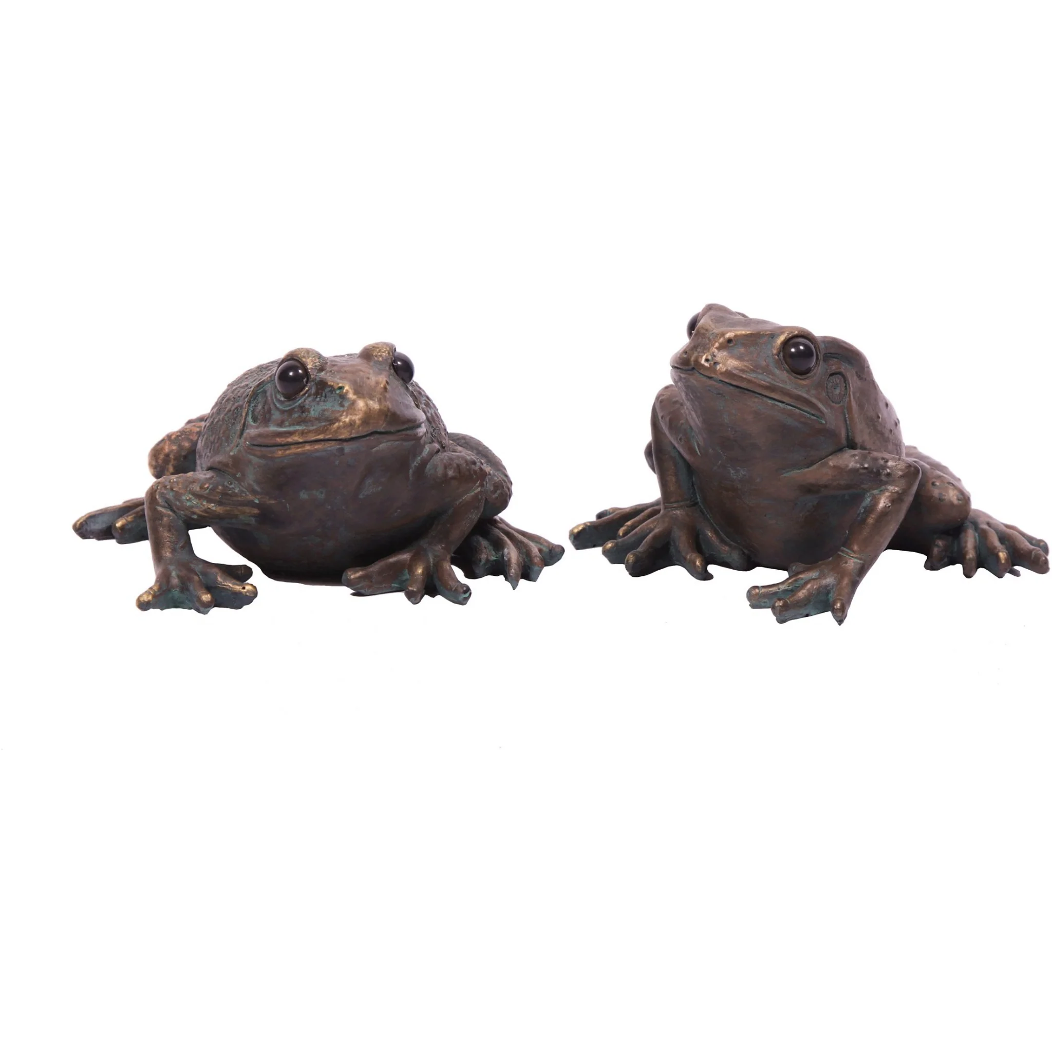 Large Frog