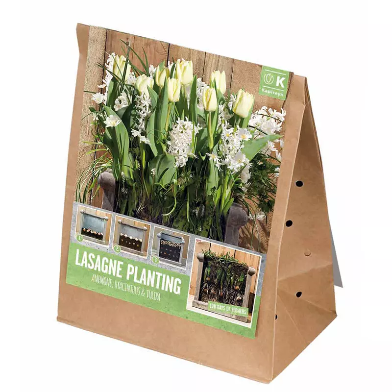 LASAGNE PLANTING WHITE x 40 - Image 3