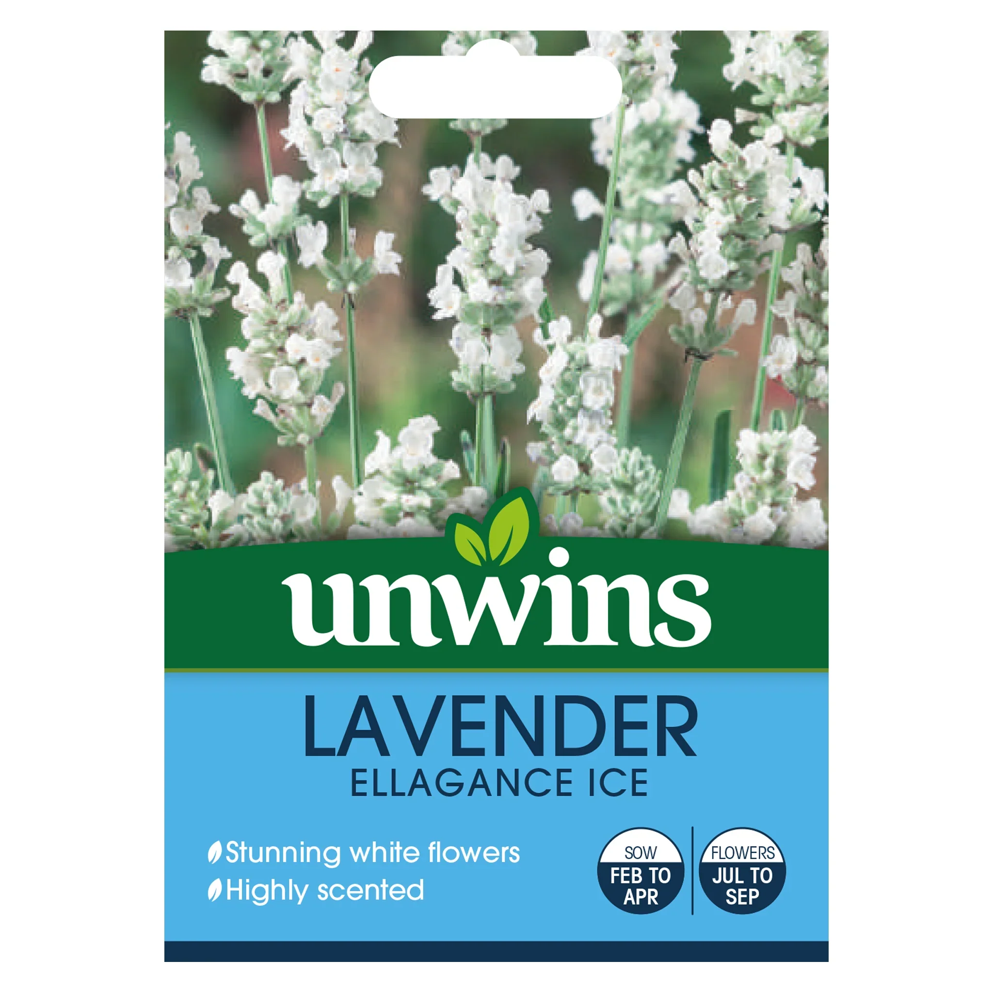 Lavender Ellegance Ice