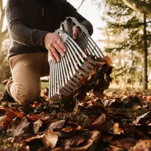 Leaf Rake KS 3 in 1 - Image 3