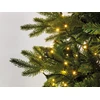 LED compact lights gb 8 function twinkle effect outdoor green/warm white L.1100cm - Image 6