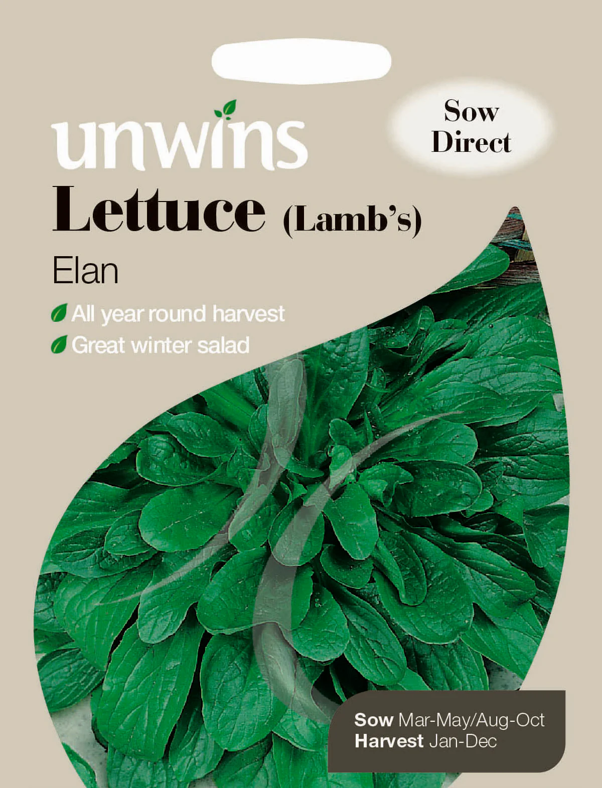 Lettuce (Lamb s) Elan