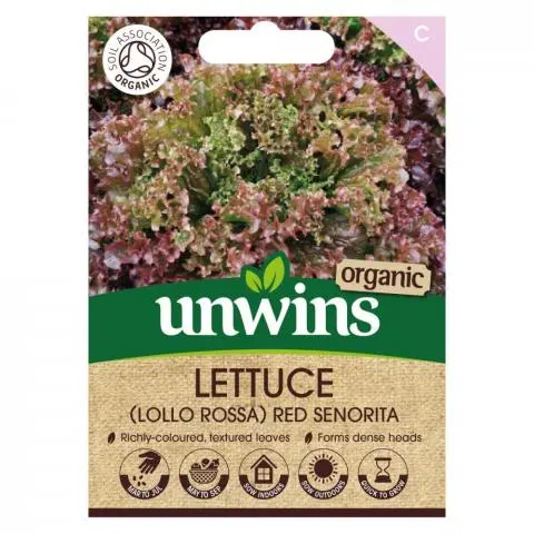 Lettuce (lollo) Red Senorita (Organic)