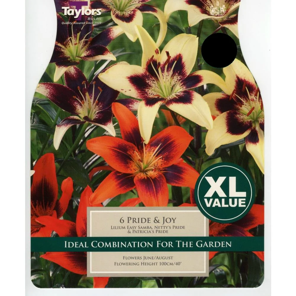 LILIUM PRIDE & JOY