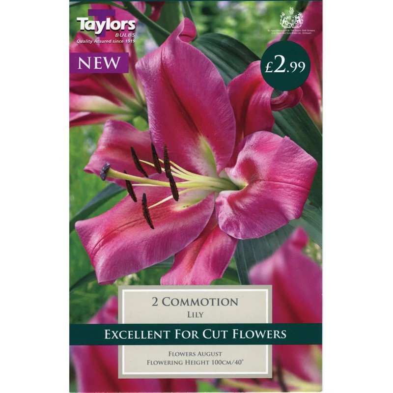 LILY COMMOTION