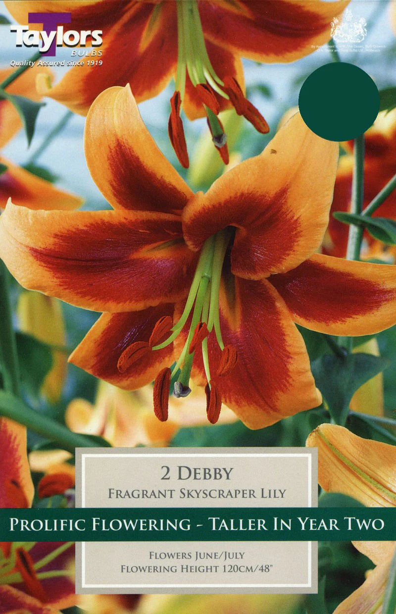Lily Debby