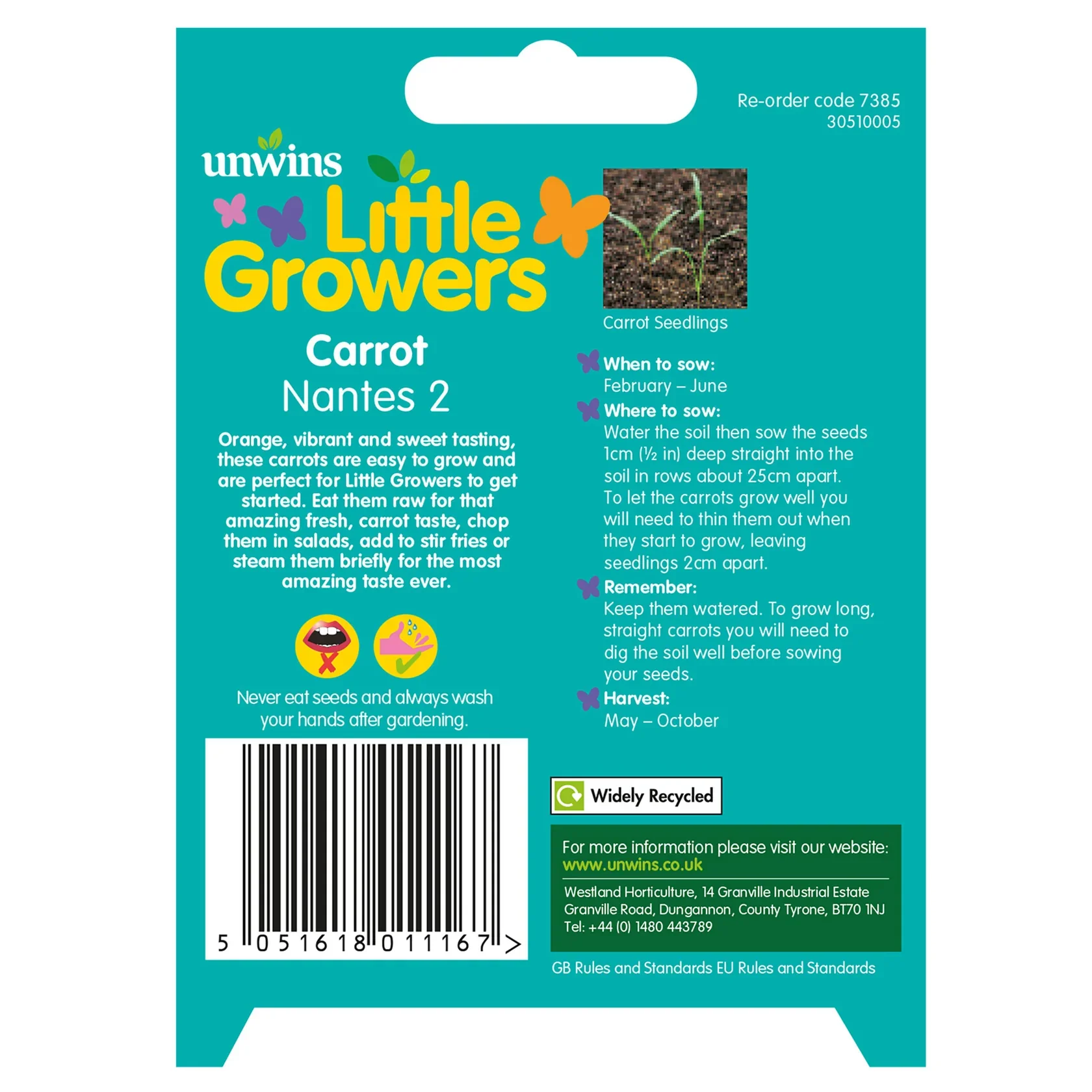Little Growers Carrot Nantes 2 - Image 3