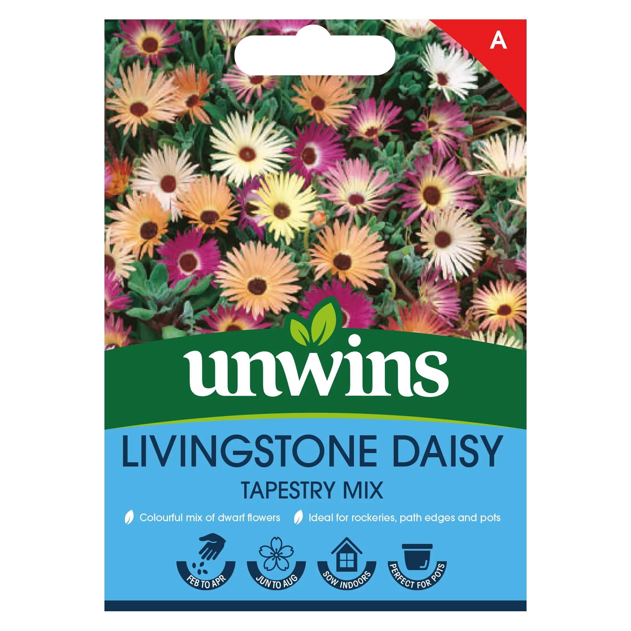 Livingstone Daisy Tapestry Mix