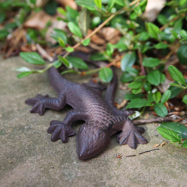 Lizard 15.5cm - Image 2