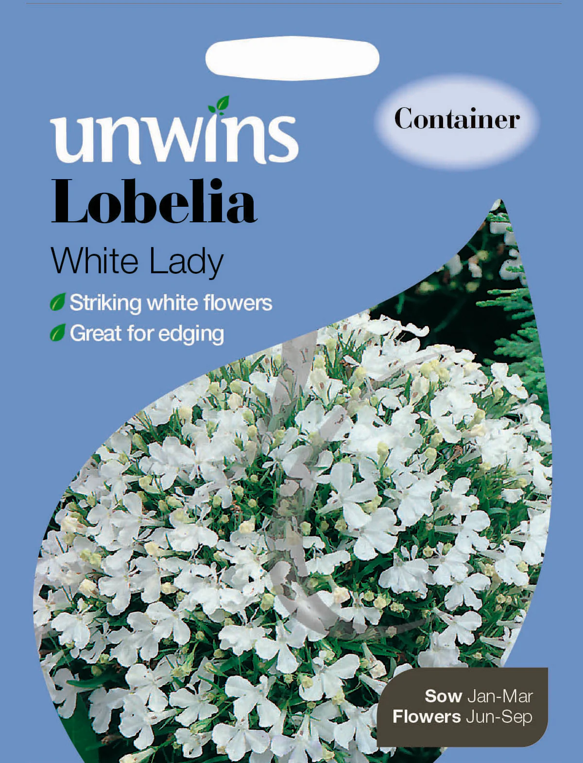 Lobelia White Lady