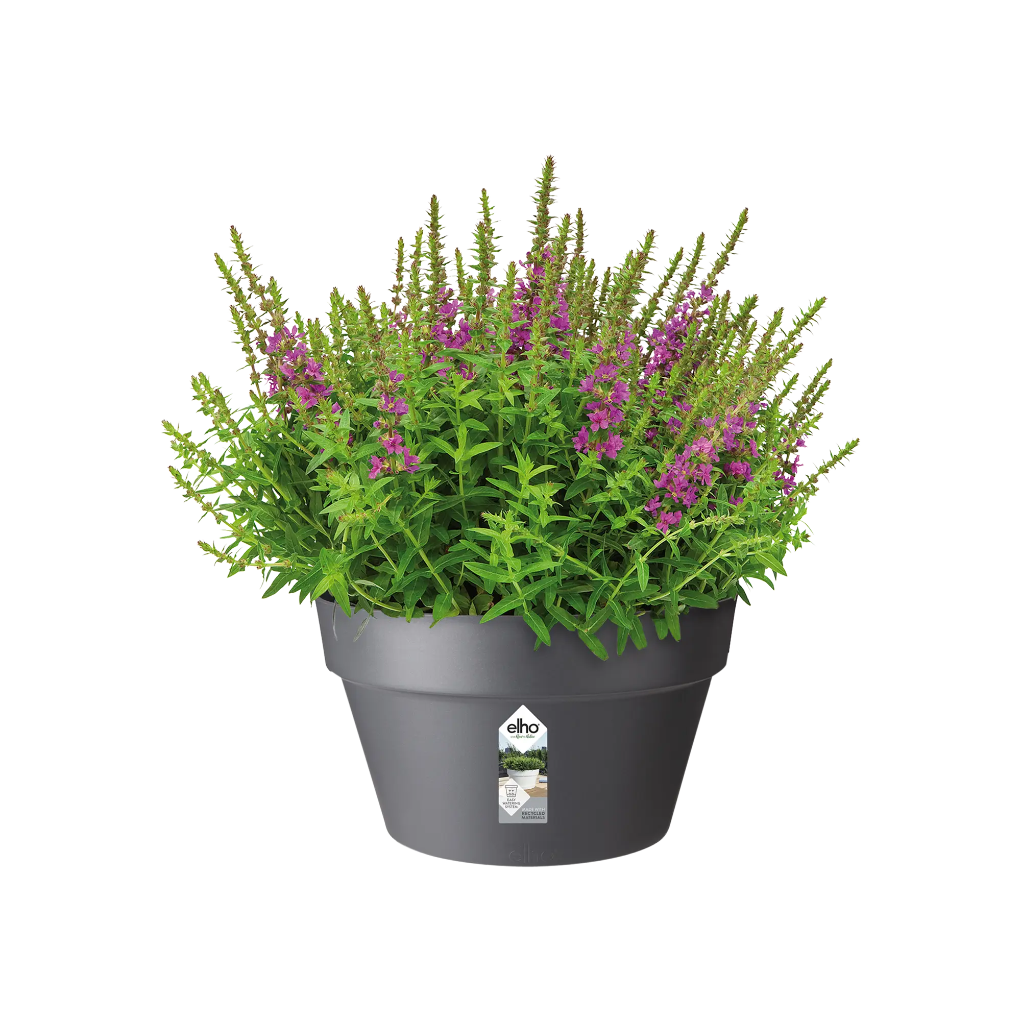 Loft Urban Bowl Pot Ø35cm Anthracite - Image 5