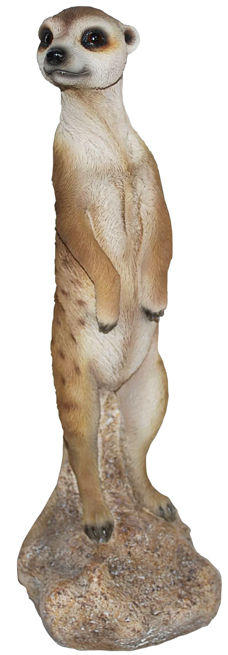 Lookout Meerkat MEDIUM