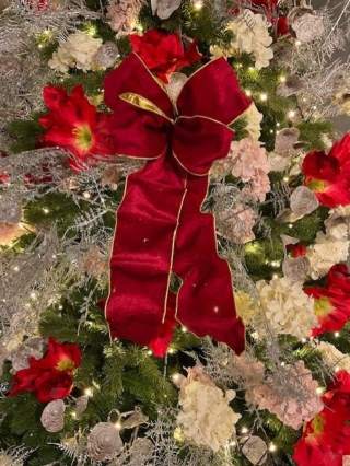 Luxury Red Velvet Wired Ribbon per meter