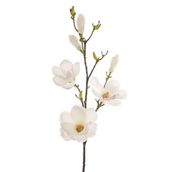 Magnolia Spray 3Flw+3Buds 80cm
