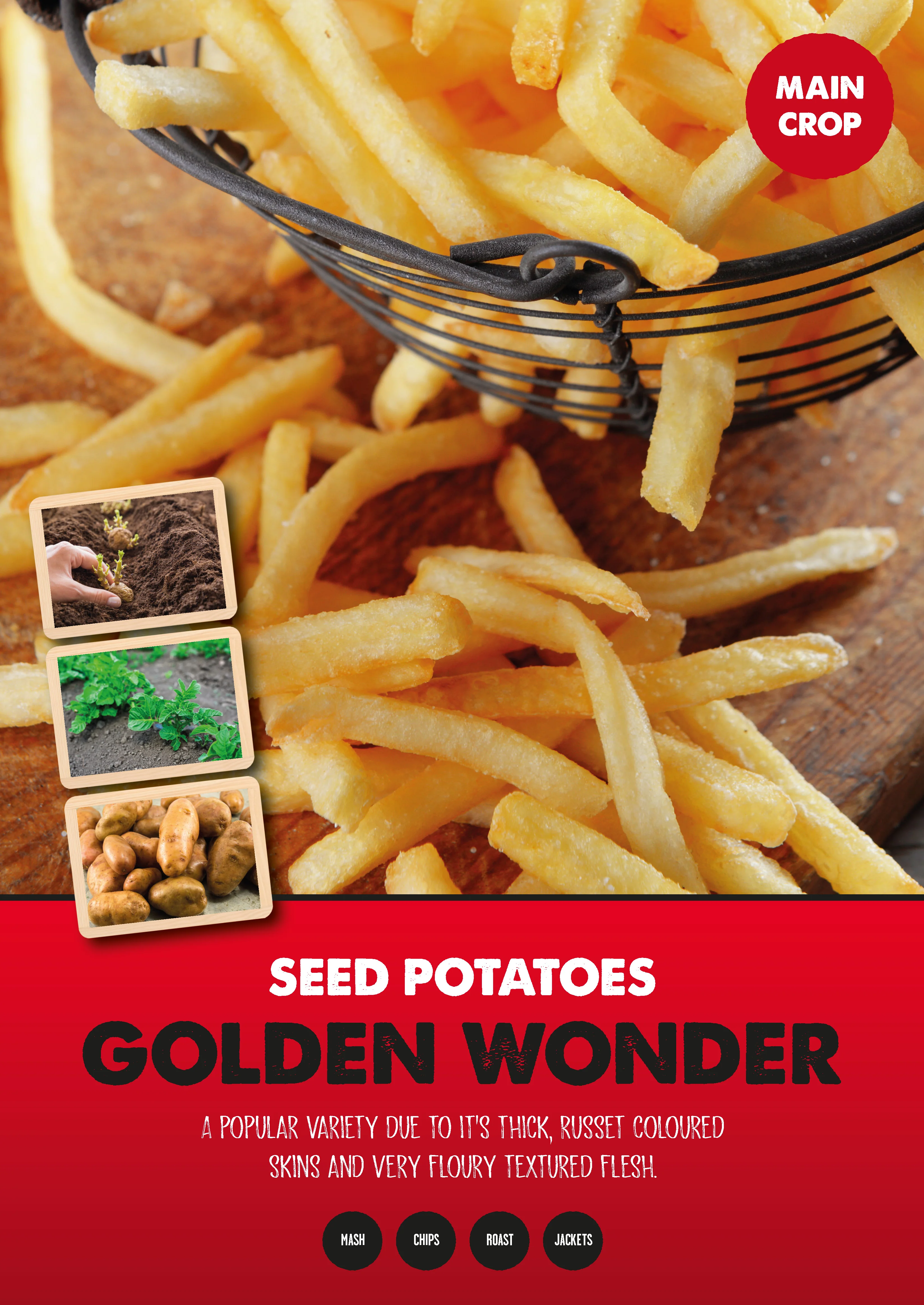 MAIN CROP GOLDEN WONDER 2kg