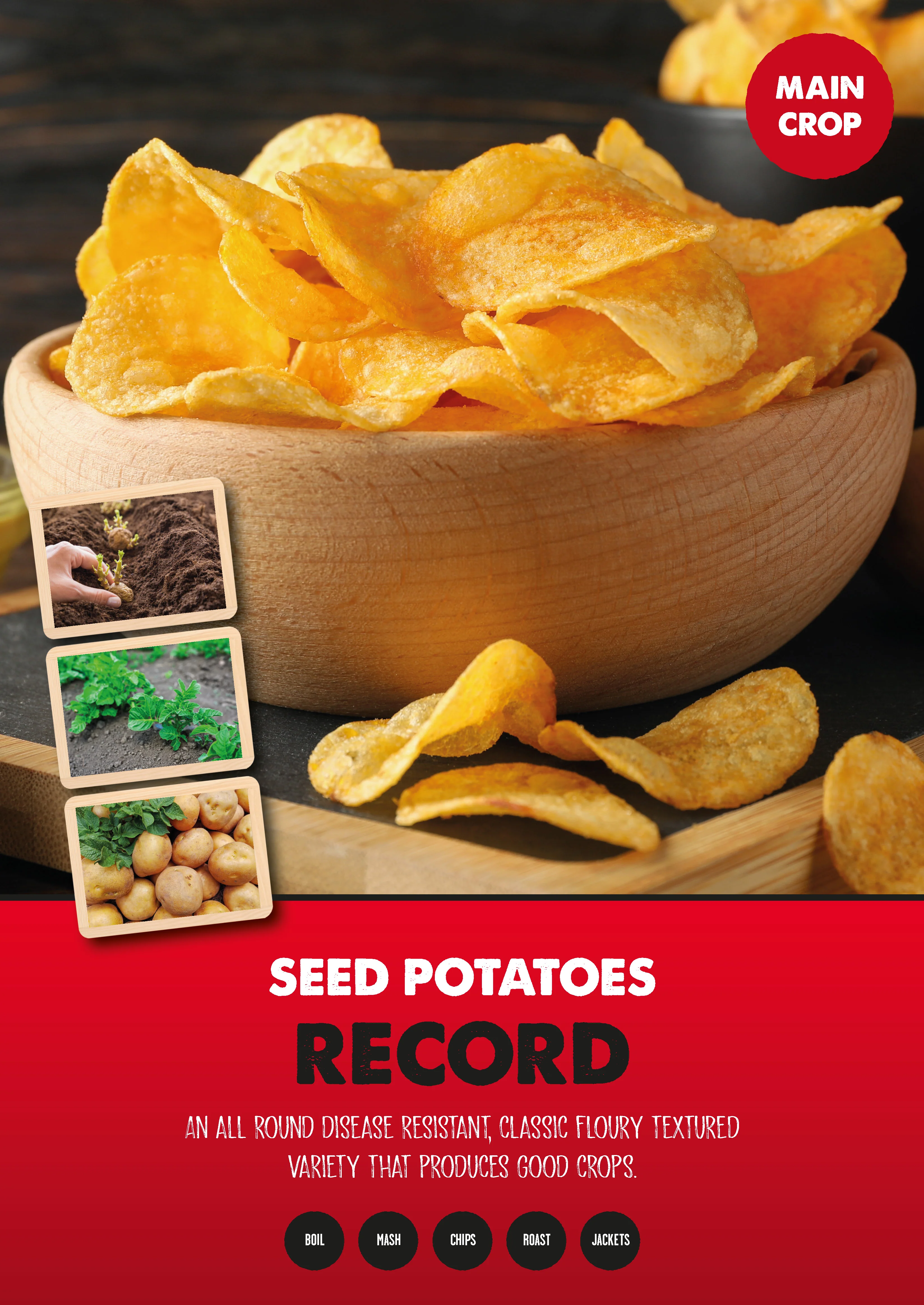 MAIN CROP RECORD 2 KG NET