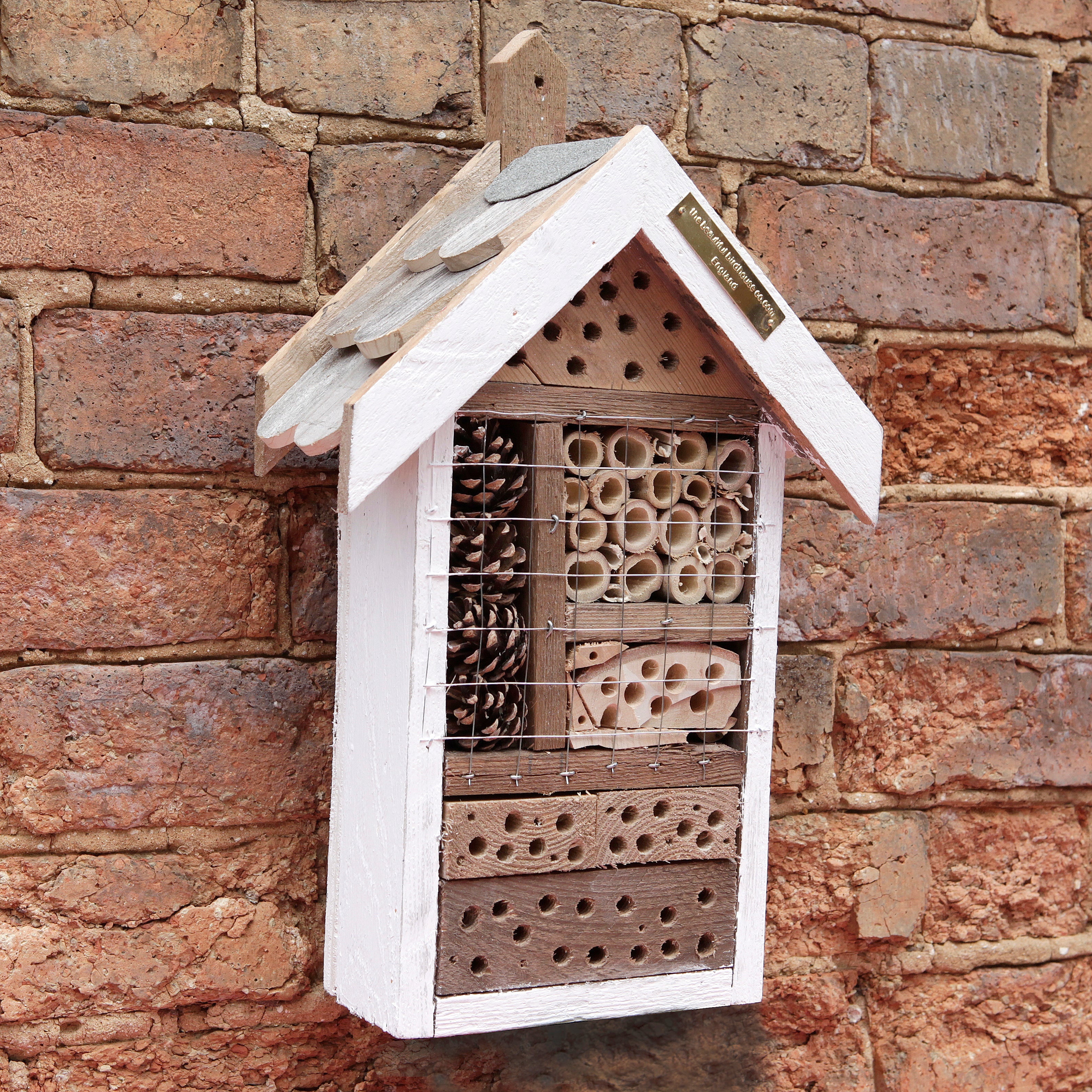 Medium Bughouse