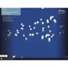 Micro LED deco string lights plywood steady BO indoor 3ass fsc 100% assorted/warm white L.210cm x W.1cm x H.5cm - Image 4
