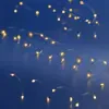 Micro LED stringlights steady BO indoor silver/classic warm L.295cm - Image 4