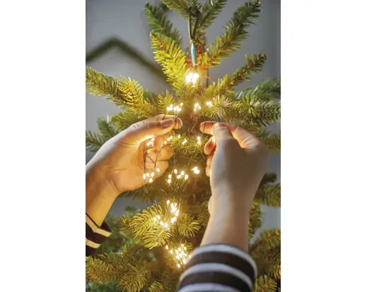 Micro LED tree bunch gb steady outdoor green/warm white L.210cm - Image 5