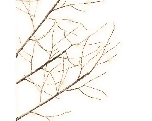 Micro LED tree gb pvc branch steady outdoor brown/warm white dia100cm x H.180cm - Image 3