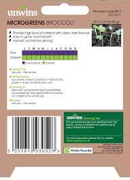 MicroGreens Broccoli - Image 2