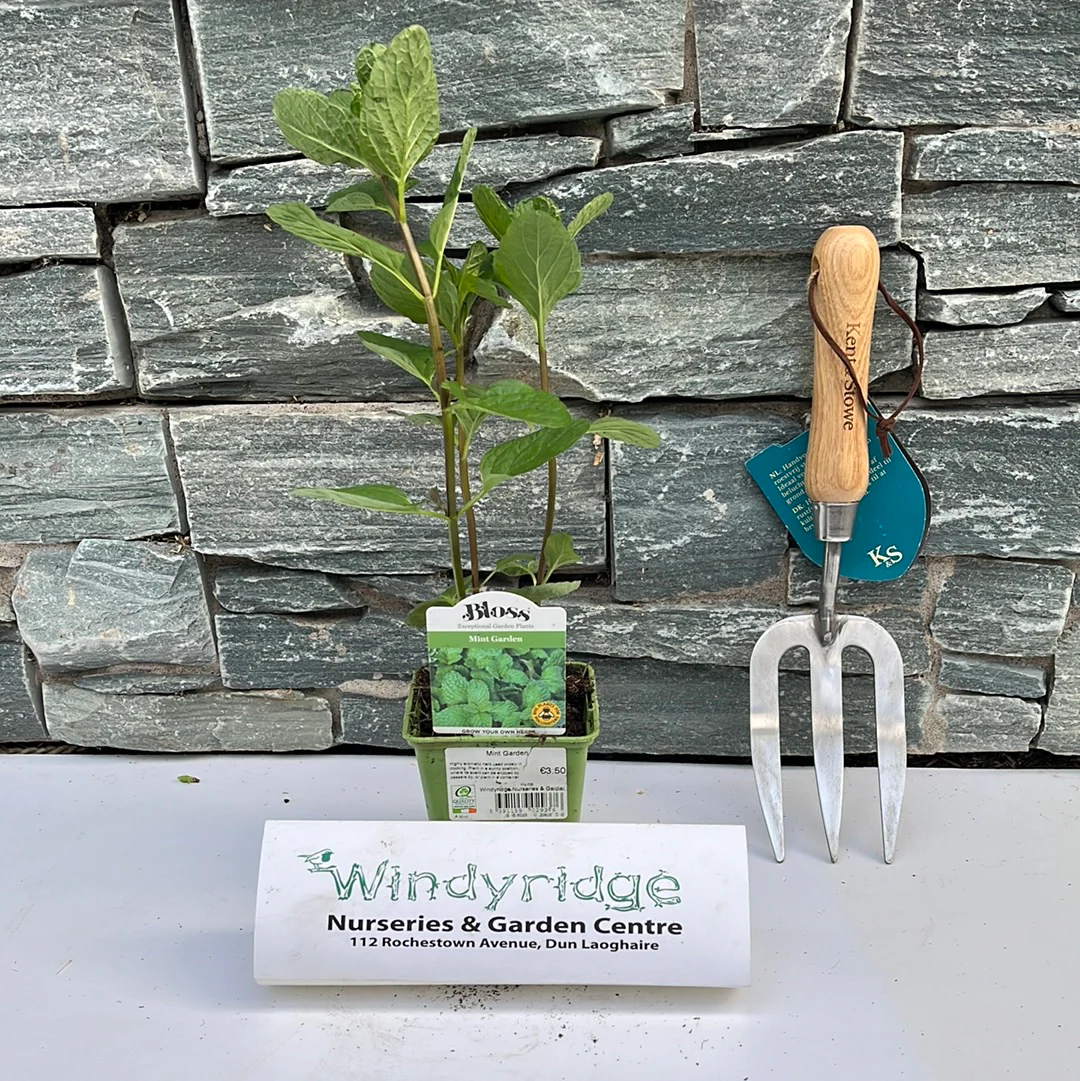 Mint Garden
