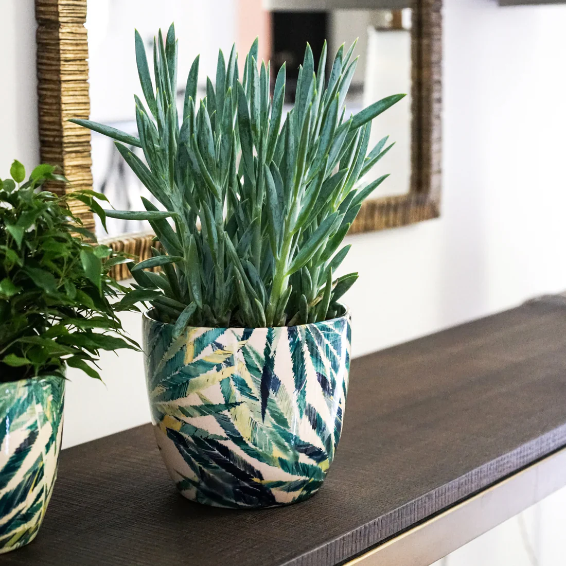 Monza Botanical Fern Planter Ø16cm - Image 2