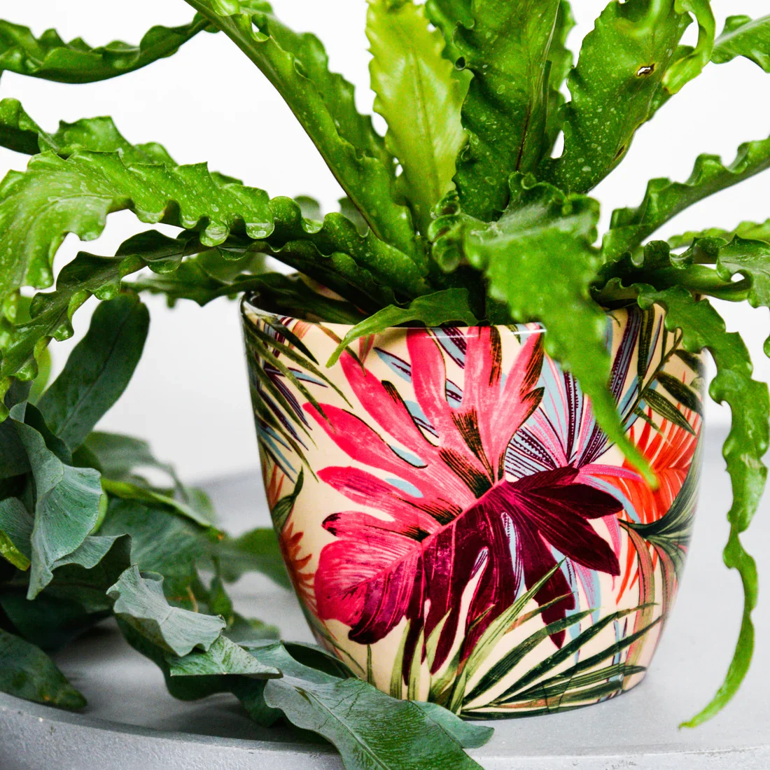 Monza Tropical Fuchsia Planter 17CM - Image 2