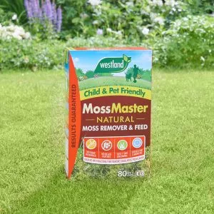 Moss Master 80m2 - Image 2