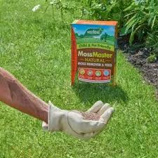 Moss Master 80m2 - Image 3