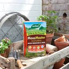 Moss Master 80m2 - Image 4