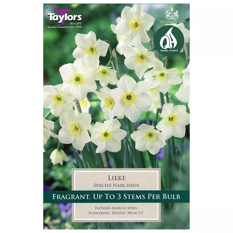 NARCISSI LIEKE