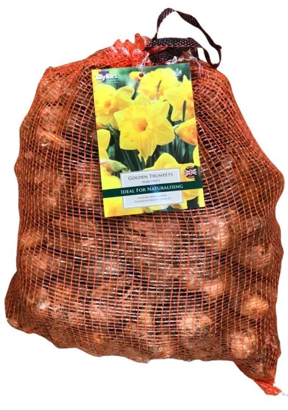 NARCISSUS GOLDEN TRUMPETS 5KG - Image 2