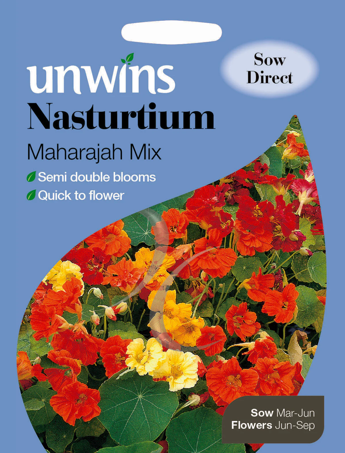 Nasturtium Maharajah Mix