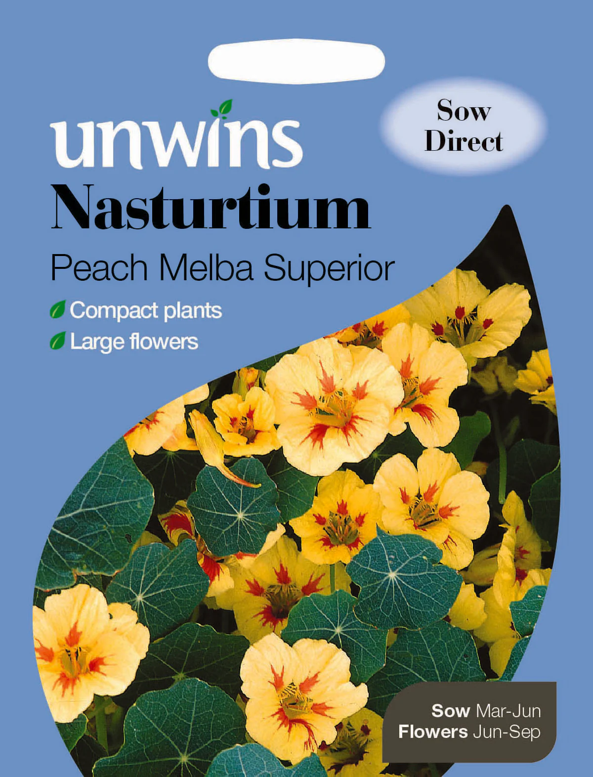 Nasturtium Peach Melba Superior
