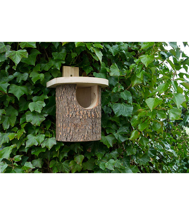 Natural Log Robin Box
