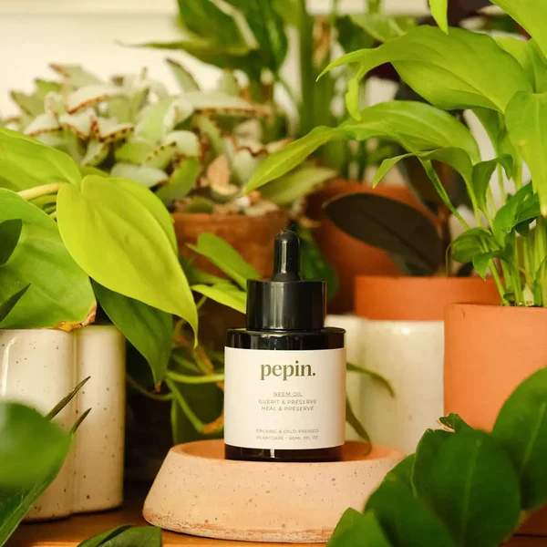 Neem oil 
natural insecticide - Image 3